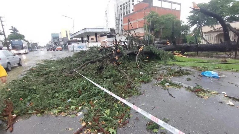 Pilar Edenor trabaja para restablecer el servicio después del temporal