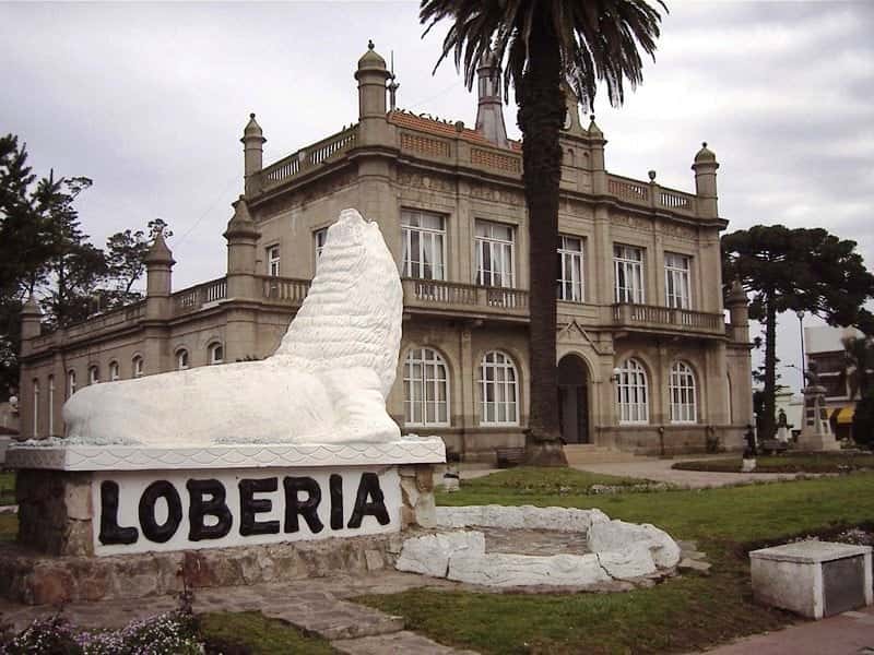 Elecciones PASO 2023 en Lobería: Ganó Pablo Barrena, de Juntos por el Cambio