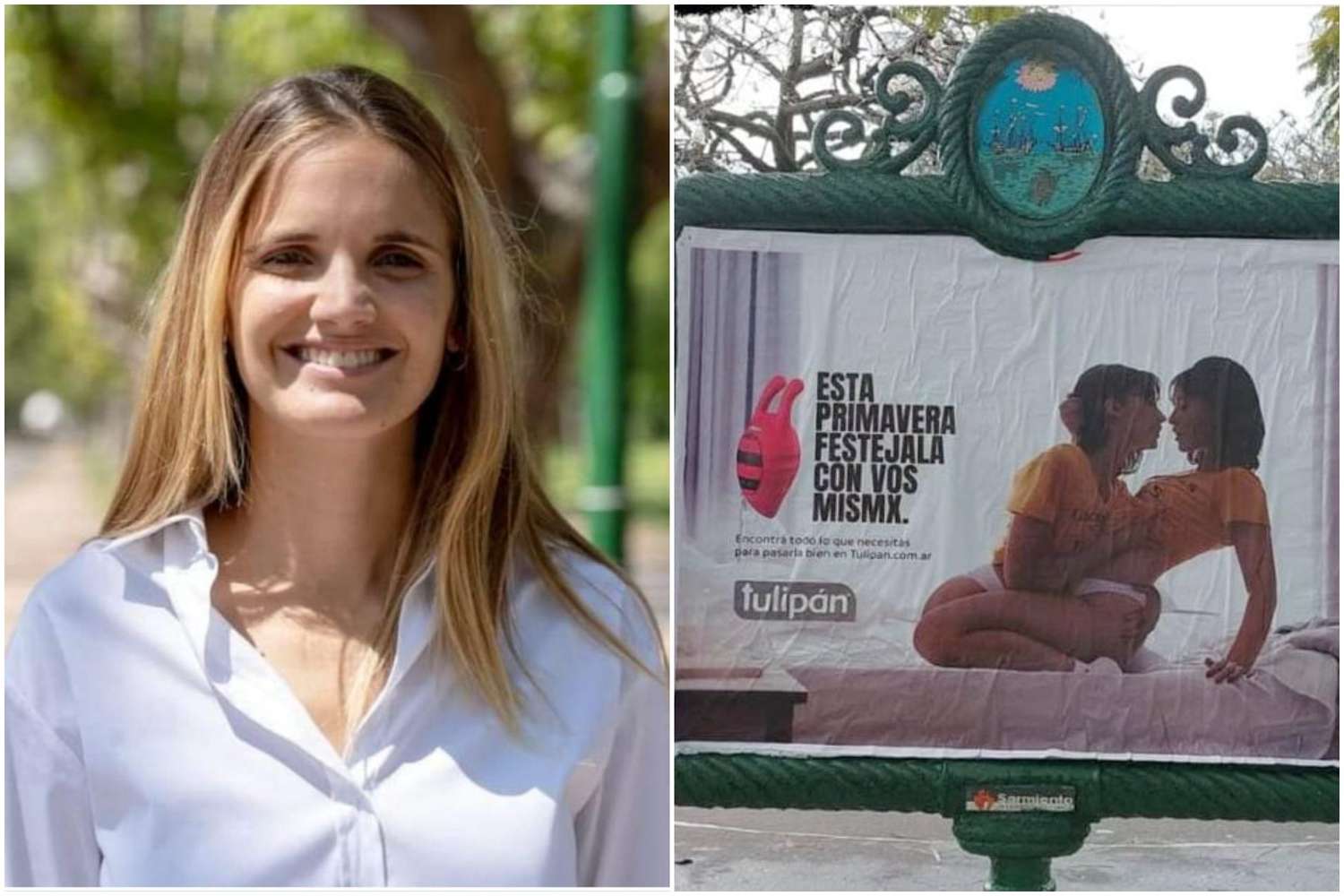 Una diputada bonaerense se horrorizó por la publicidad de un juguete sexual y terminó abriendo una polémica en las redes