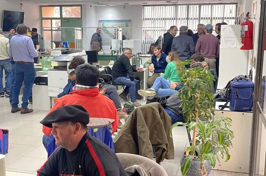 Productores agropecuarios tomaron un organismo público de Villarino: Denuncian que quieren quedarse con las máquinas