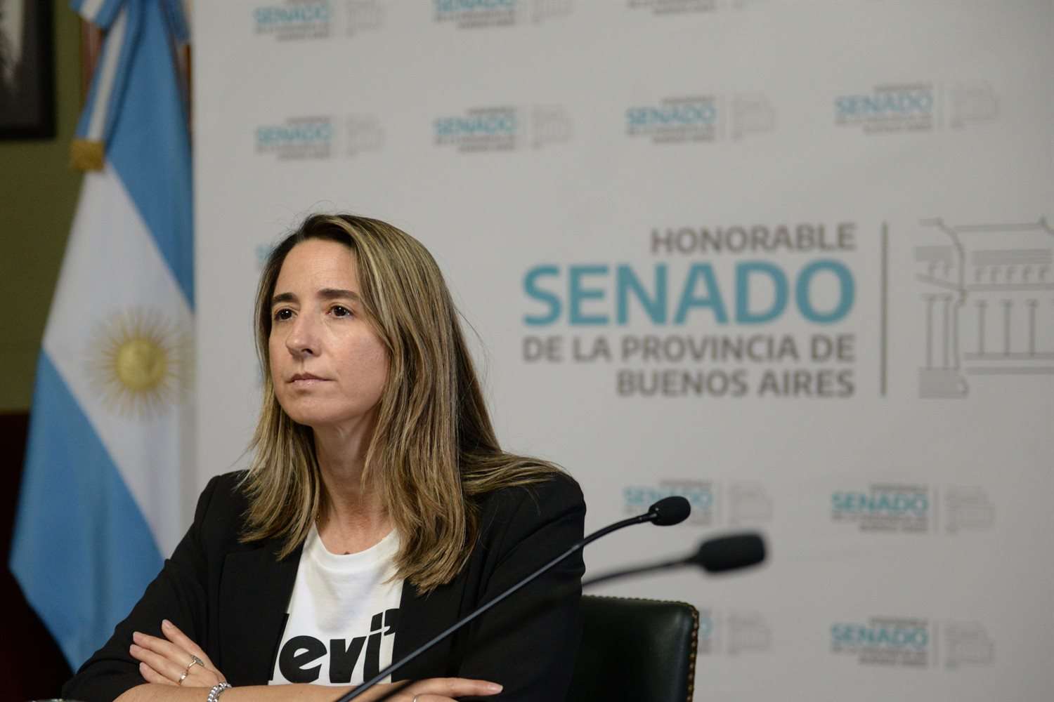 Inesperado: La senadora radical Flavia Delmonte anunció que "a pesar de las diferencias ideológicas" votará a Milei