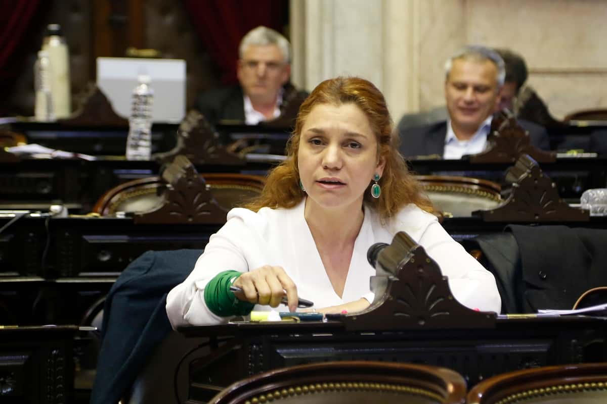 "Hoy Juntos por el Cambio está internado y con respirador artificial", aseguró la diputada nacional radical Karina Banfi