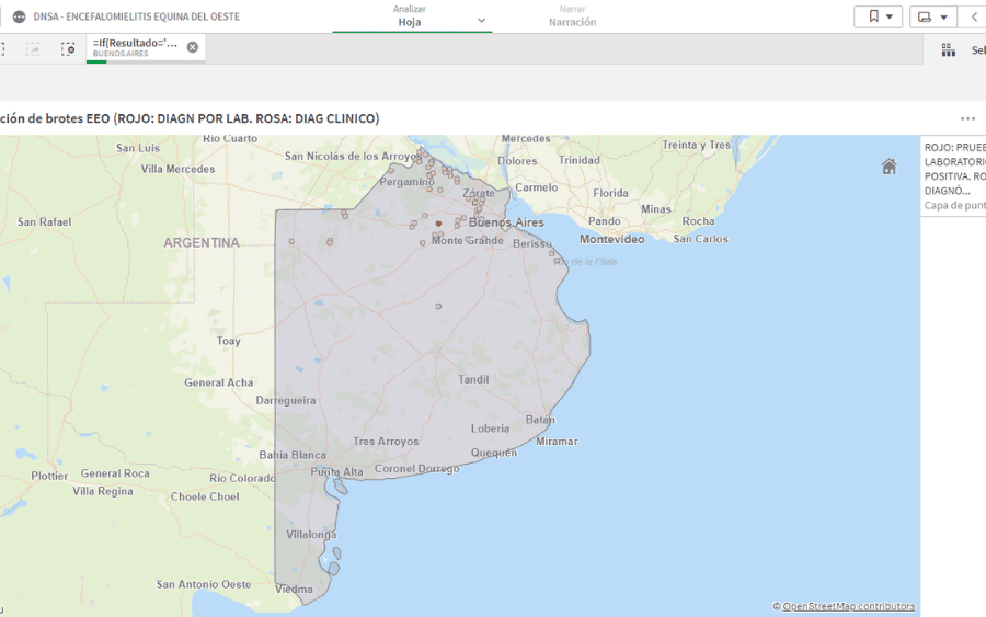 Encefalomielitis equina: El mapa dinámico que muestra los brotes en Argentina