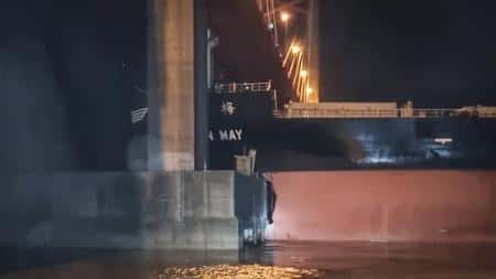 Barco de gran porte chocó contra un pilar del puente Zárate-Brazo Largo