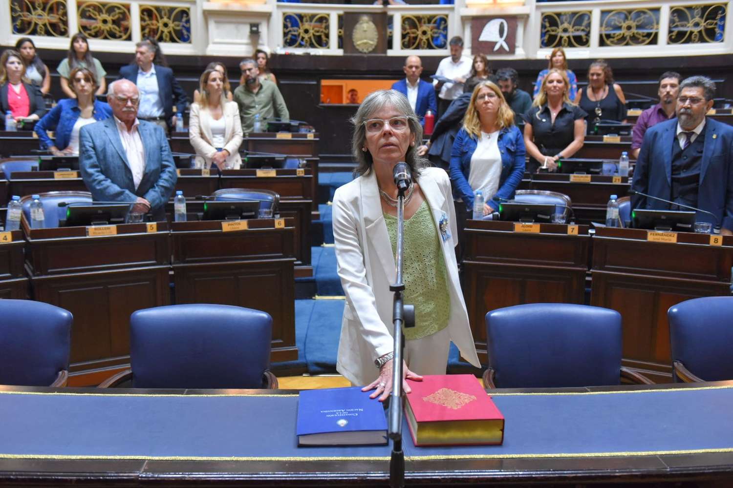 Legislatura bonaerense: Finalmente una radical asumió por Santiago Passaglia en Diputados