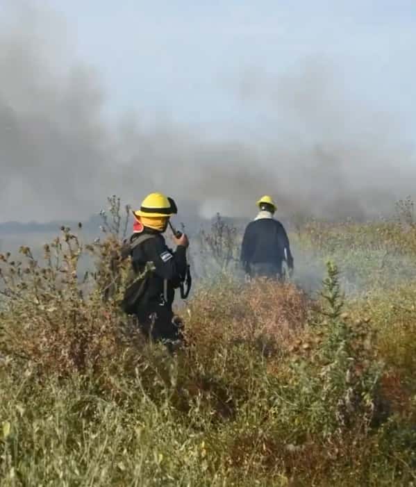 Extinguieron dos focos de incendios en Punta Lara y Tornquist: "Desde la Provincia no miramos al costado”, dijo Vilar