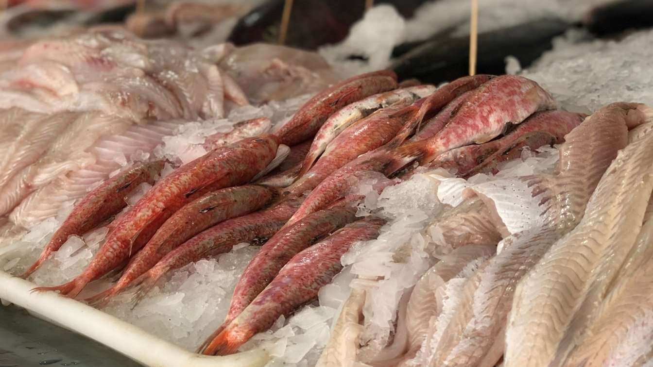 Recomendaciones para el consumo seguro de productos de pesca en Semana Santa