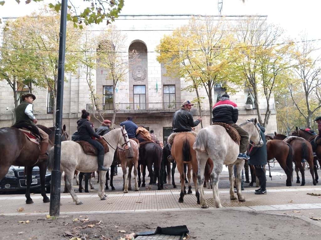 Protesta al galope en el Día del Animal: vecinos de Mar del Plata denunciaron robo de equinos frente al municipio