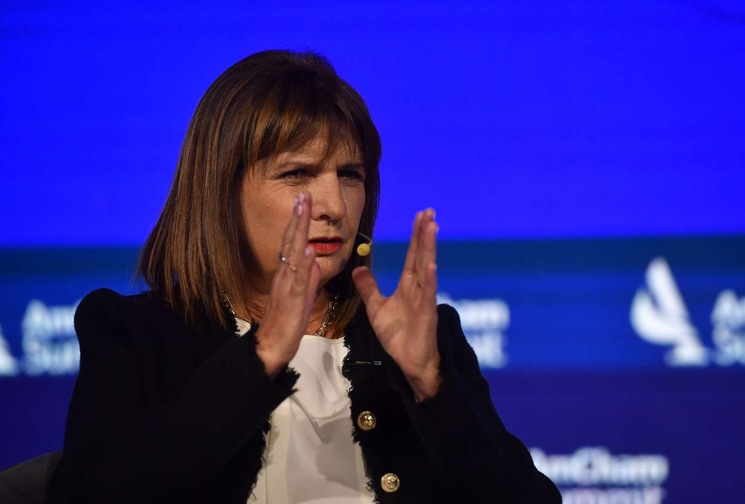 Patricia Bullrich define su candidato a gobernador bonaerense: Los tres que están en carrera