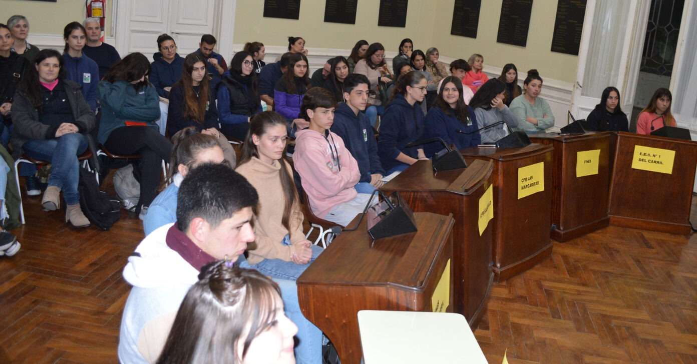 Concejo Deliberante Juvenil en Saladillo: Qué es y cuáles fueron los proyectos aprobados por los estudiantes