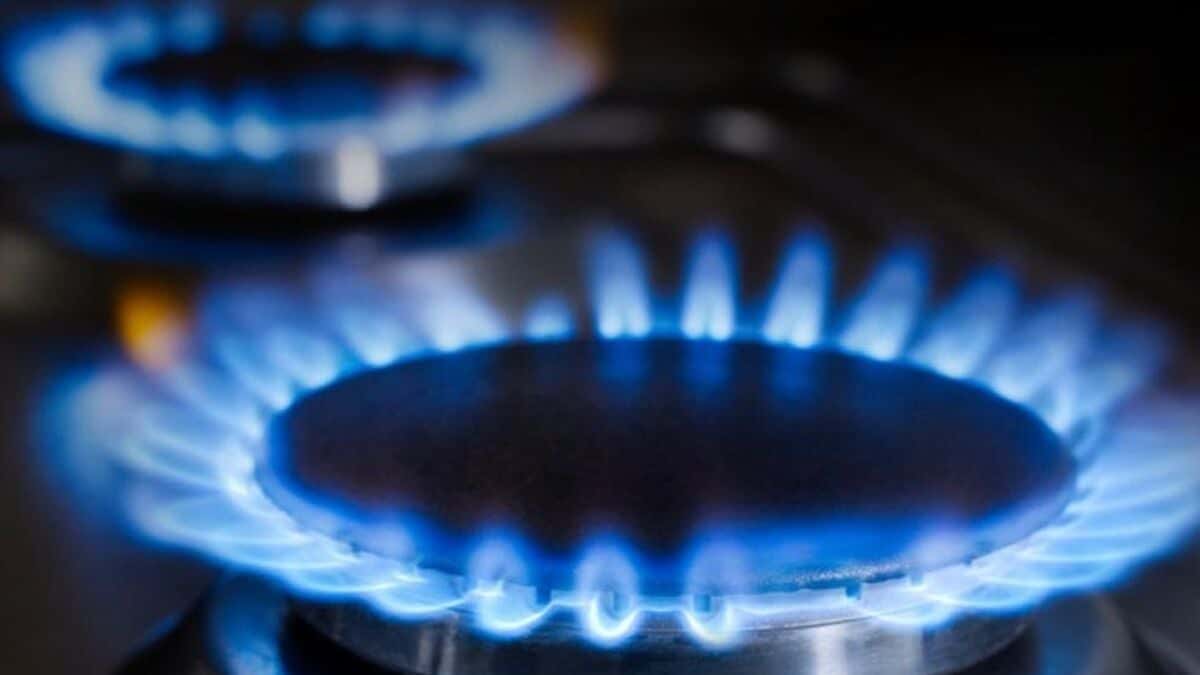 Ley ómnibus: una senadora aseguró que se pone en “peligro la ley de zona fría” sobre tarifa de gas