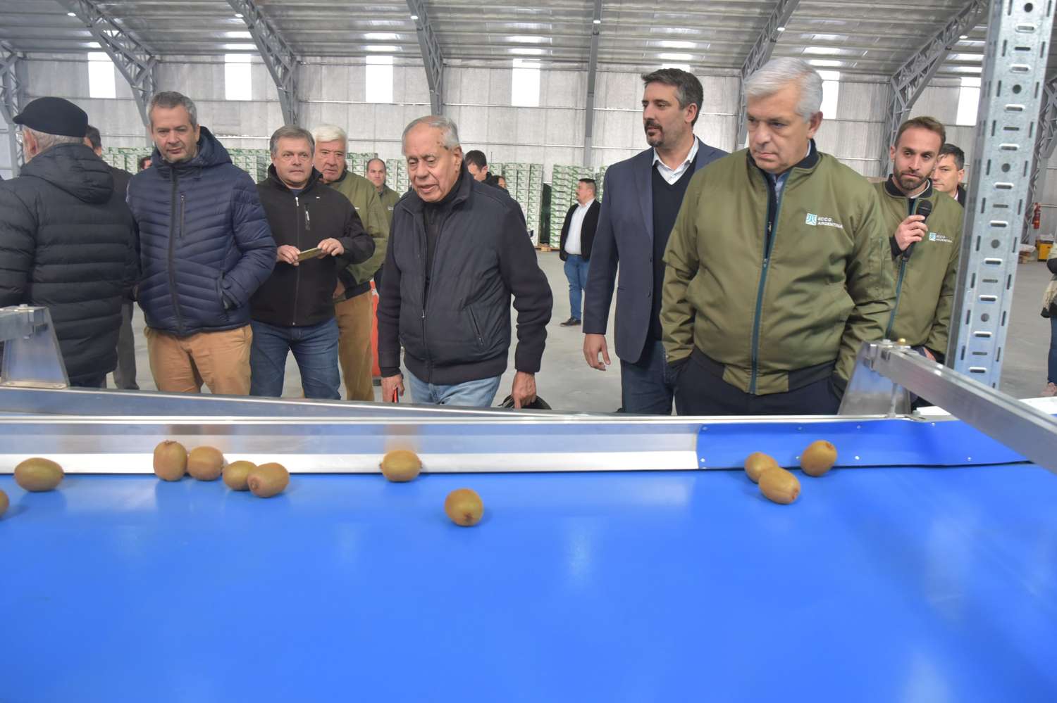 Miramar: Inauguraron planta de frío y empaque de kiwis con denominación de origen