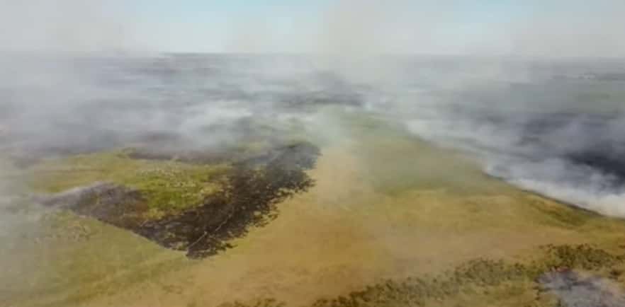 Ecocidio en el Delta del Paraná: Así se ven los incendios en las islas desde el dron de una brigadista