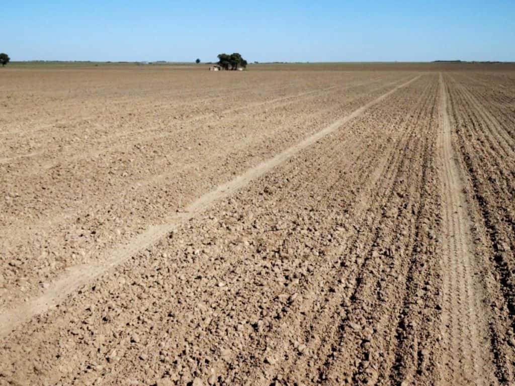 Provincia declaró la emergencia por sequía a productores de dos distritos: Cuáles son