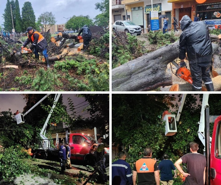 Lo que dejó el temporal en Tres de Febrero: 650 árboles caídos, 200 postes de luz derribados y 100 voladuras de techos