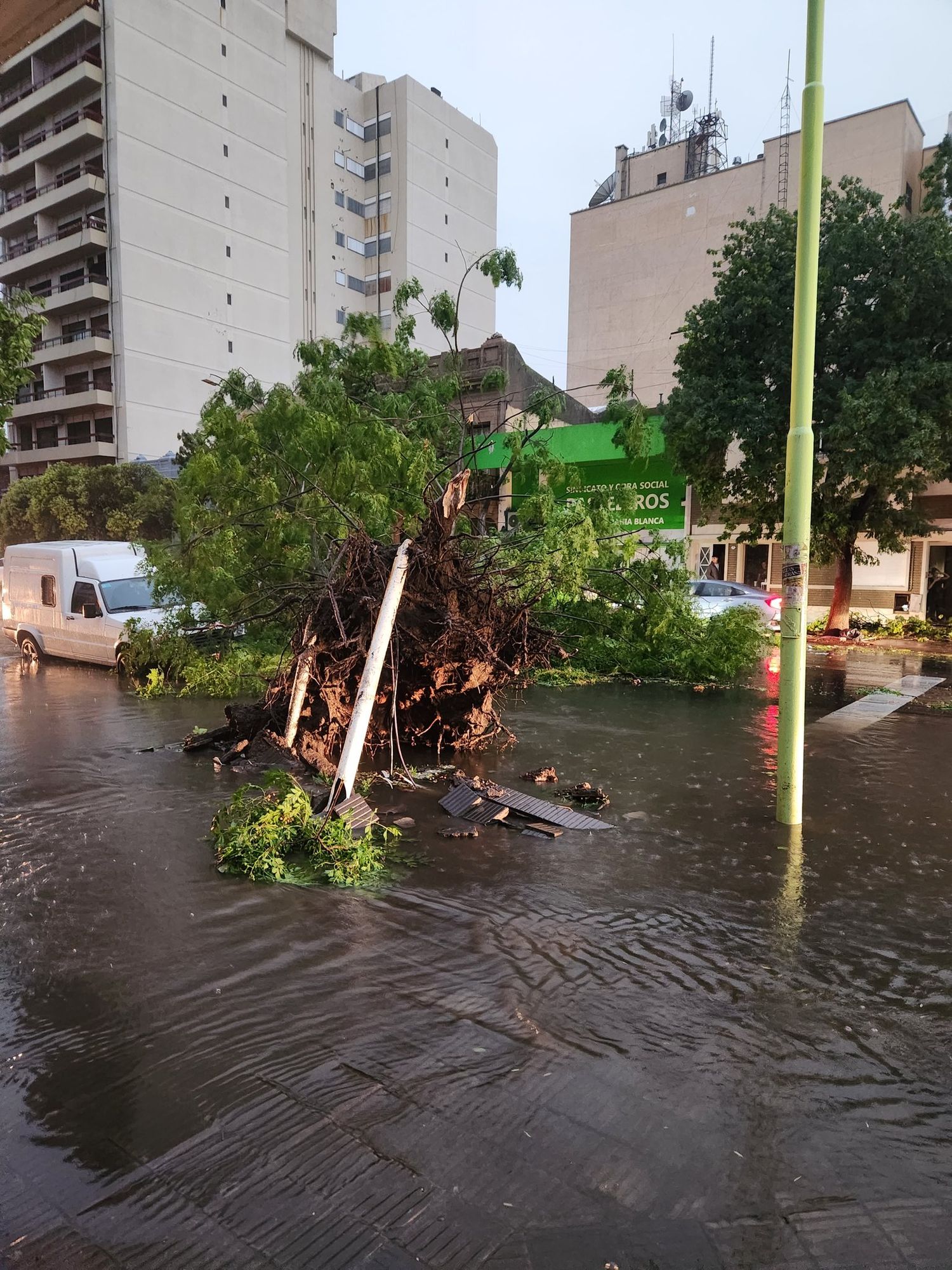 Comunicado del Municipio tras el temporal en Bahía Blanca: "Es una catástrofe"