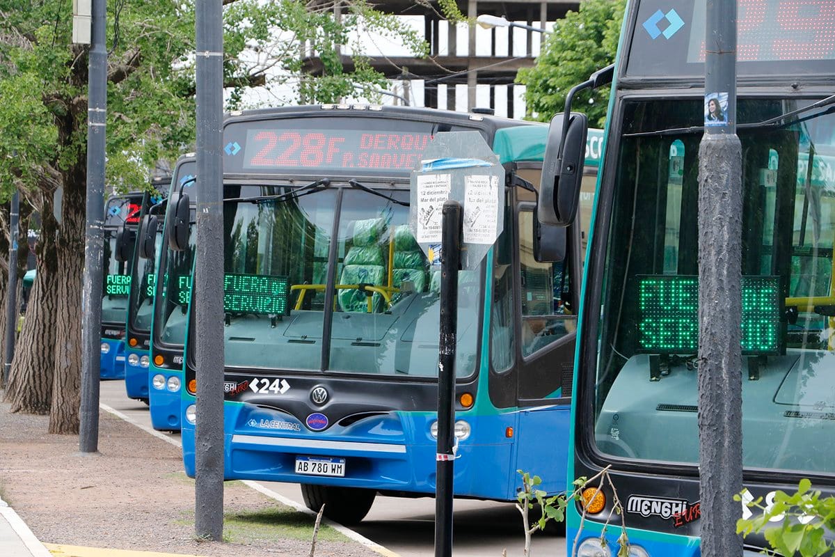 Pilar: Suman ocho unidades al transporte público