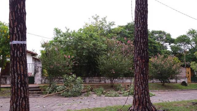Pilar: Las acciones del Municipio tras el fuerte temporal