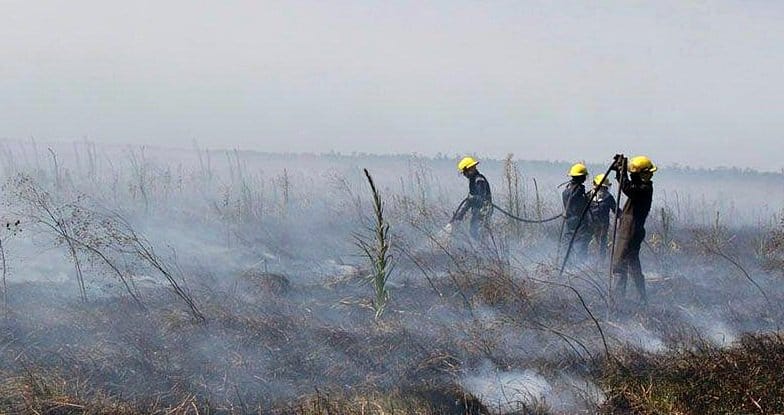 Incendio en Punta Lara: El fuego está controlado pero se terminará de apagar cuando llueva