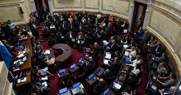 El Senado aprobó los allanamientos a Cristina