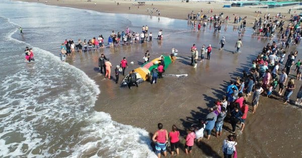Continúa este lunes el rescate de la ballena varada en Mar del Plata
