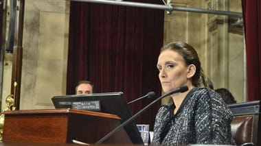 Aborto legal: Michetti convocó a los detractores del proyecto a reunirse en el Congreso