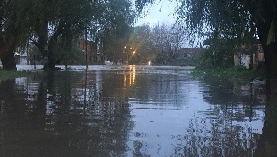 Diluvio en La Plata: Al menos 50 evacuados y calles anegadas