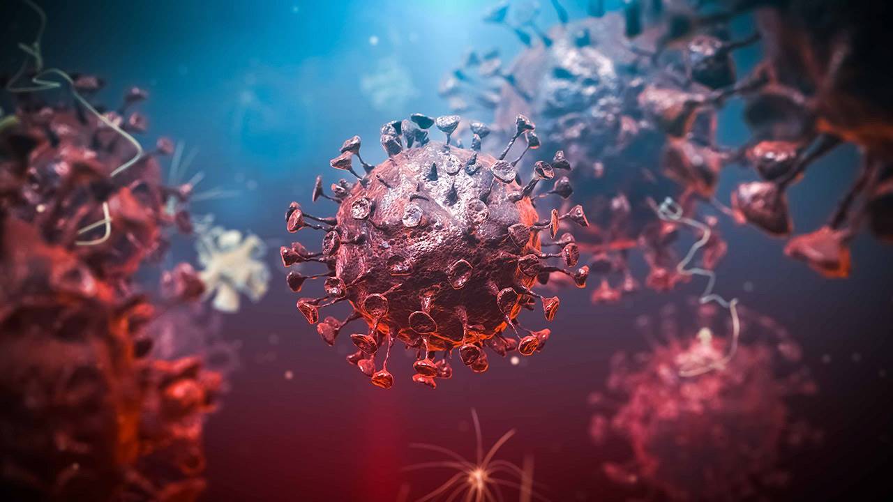 #Coronavirus 19 de junio: 15.631 nuevos casos y 495 muertes reportadas en las últimas 24 horas
