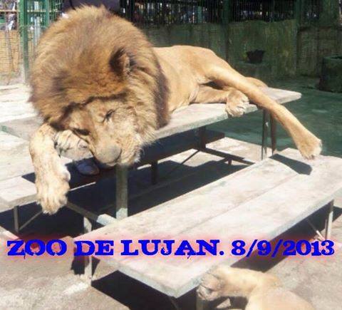 Grupo de Facebook pide el cierre del zoológico de Luján