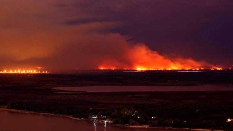 Ministerio de Ambiente actuará como querellante en la causa por incendios en las islas del Paraná