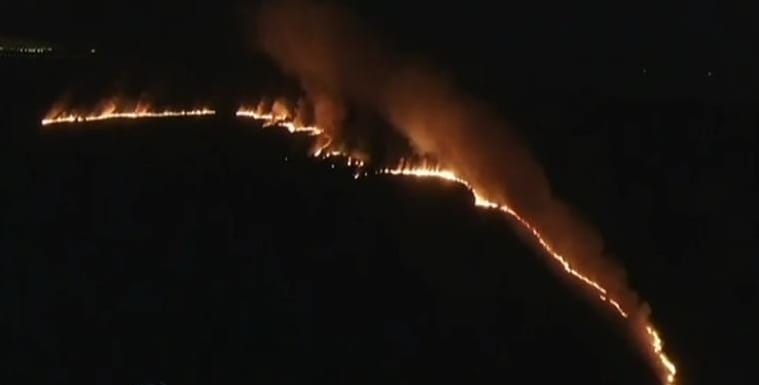 Incendio en la Reserva Ecológica de Punta Lara 