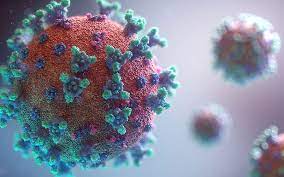 #Coronavirus 23 de octubre: 908 nuevos casos y 4 muertes reportadas en las últimas 24 horas