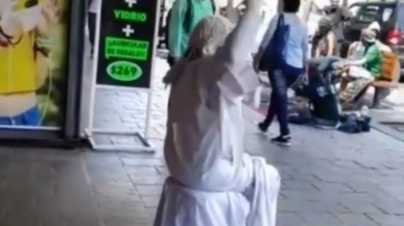Video viral: Estatua viviente de La Plata cantó contra Macri y se peleó con una señora "gorila"