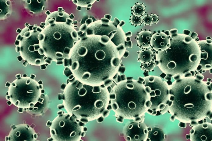 Coronavirus: 41 nuevos casos este domingo, llegando a un total de 266 infectados en el país