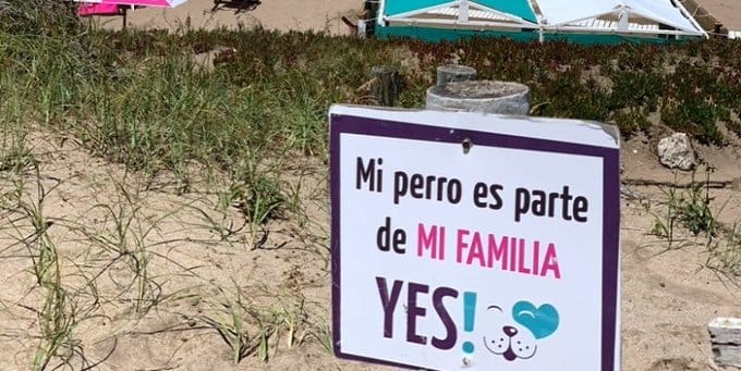 Monte Hermoso: Tras la propuesta de un vecino, Dichiara se comprometió a analizar instalación de zona para mascotas en la playa
