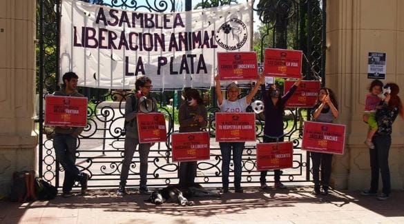 Denuncian pésimas condiciones de los animales en el zoológico de La Plata