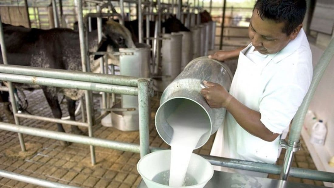 Tamberos en "estado de alerta" por retraso en el pago de las industrias lácteas