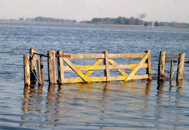 Inundaciones en la Provincia: Carbap estima pérdida de 370 mil terneros y 300 mil hectáreas de trigo