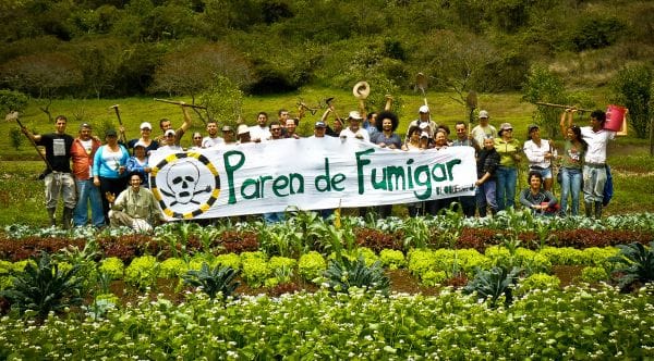Agrotóxicos: Científicos de La Plata detectaron glifosato en productos de higiene