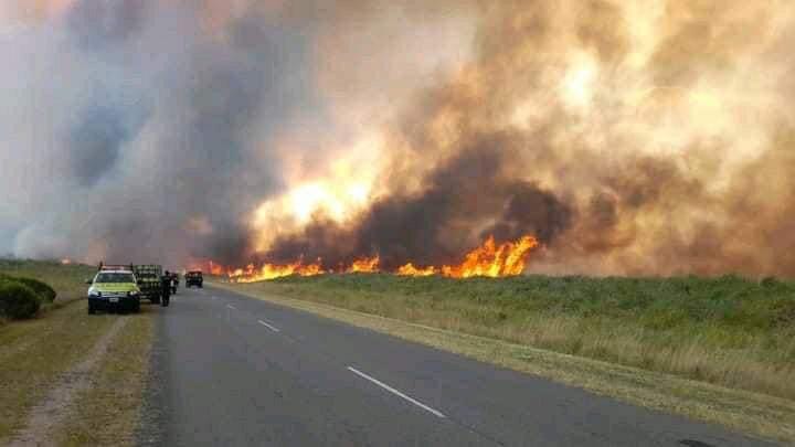 Incendio forestal en Miramar: Kicillof y Berni estuvieron en el lugar y el Municipio impulsó denuncia para investigar el siniestro