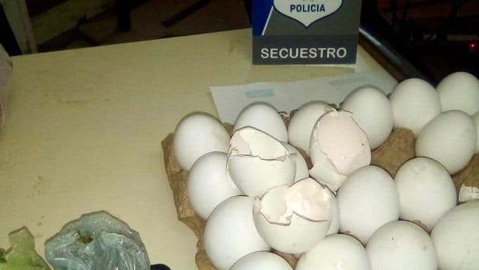 La Plata: Mujer quiso ingresar droga a la cárcel en un maple de huevos y terminó presa