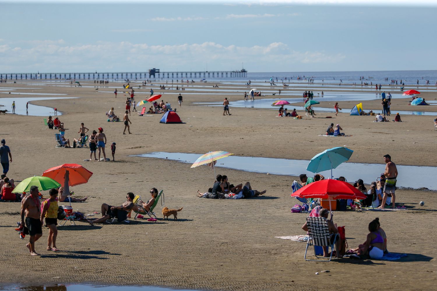 Turismo en Ensenada, Berisso, Magdalena y Punta Indio: Nueve playas para disfrutar el Río de la Plata en verano