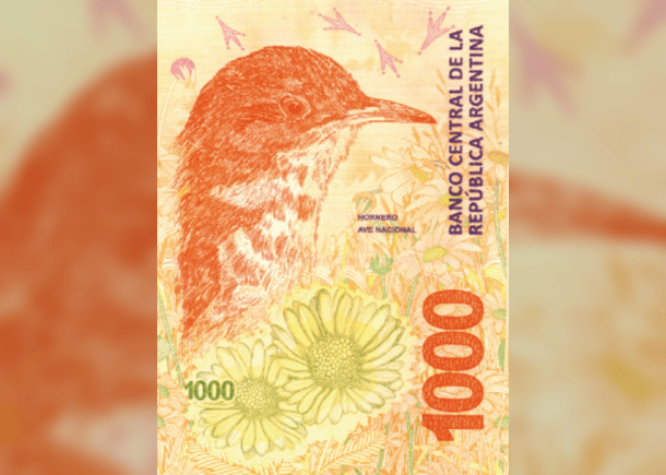 Todos los detalles del nuevo billete de 1000 pesos