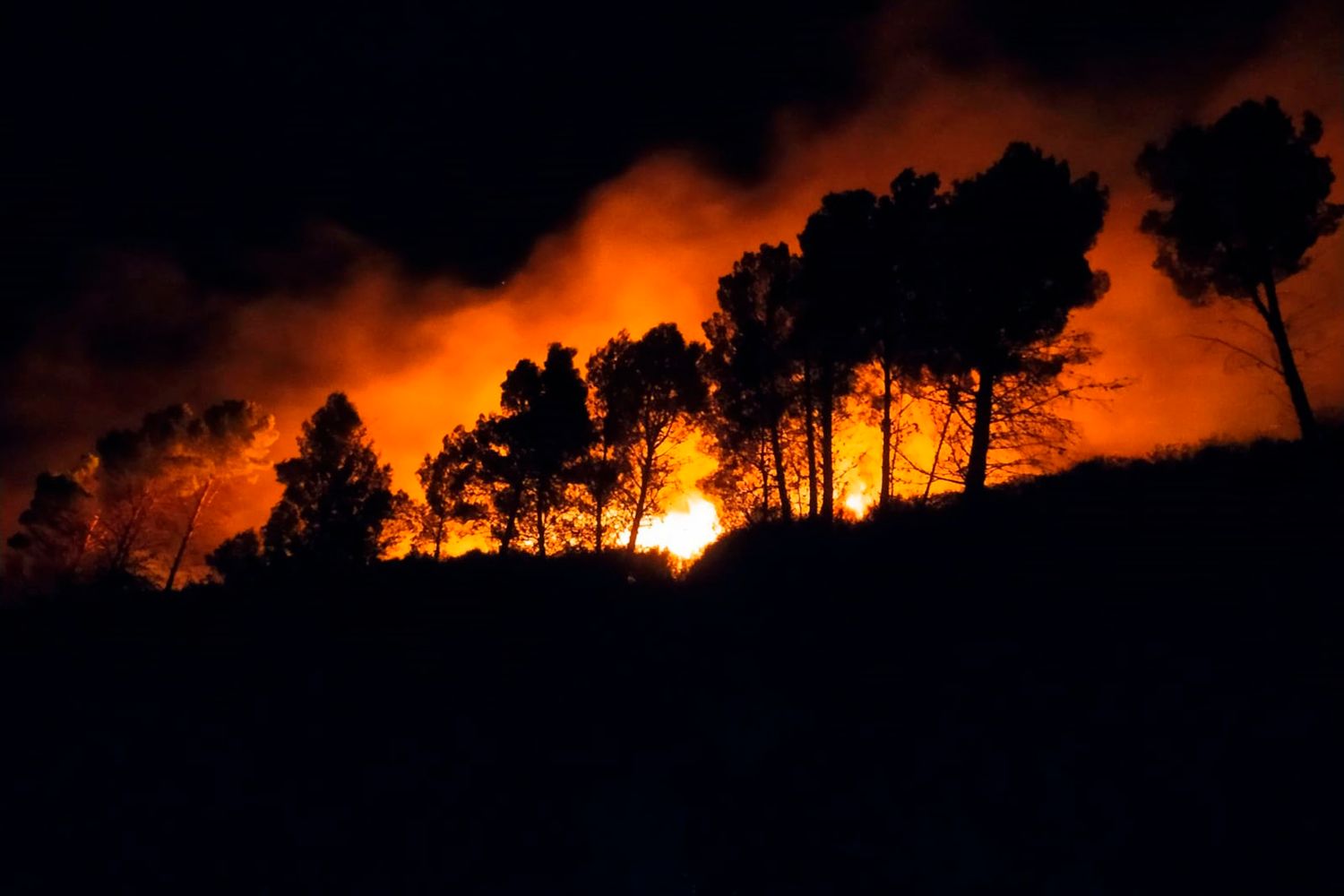 Incendios en Sierra de la Ventana: “He instruido al equipo de gestión para declarar la emergencia en el distrito”