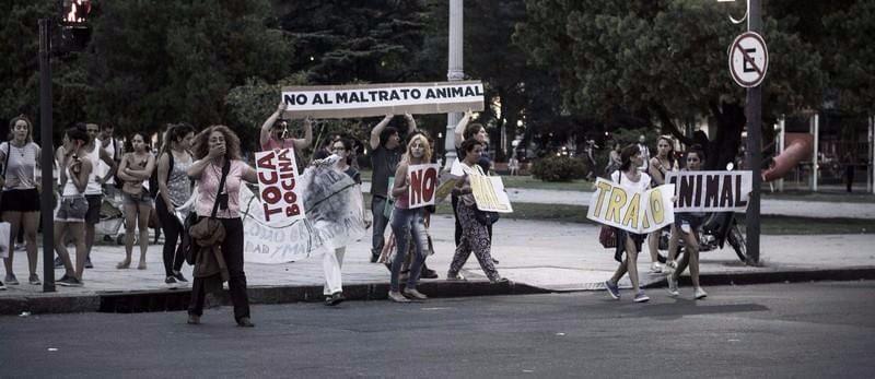 La Plata: Marcha contra el maltrato animal 