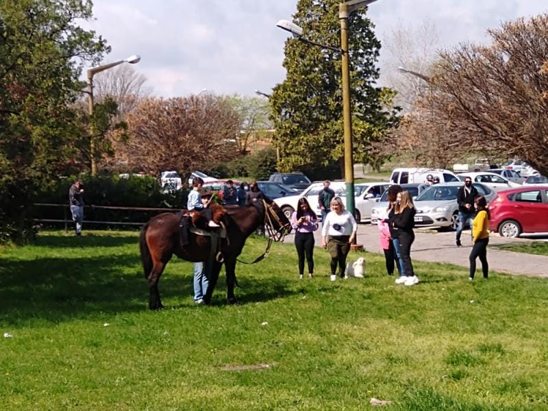 Insólito: En Olavarría un hombre fue a votar a caballo y terminó sacándose fotos con todos los vecinos