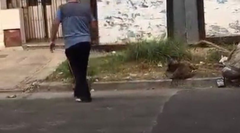 Video: A sangre fría, un hombre mató de un tiro a un perro callejero en La Matanza 
