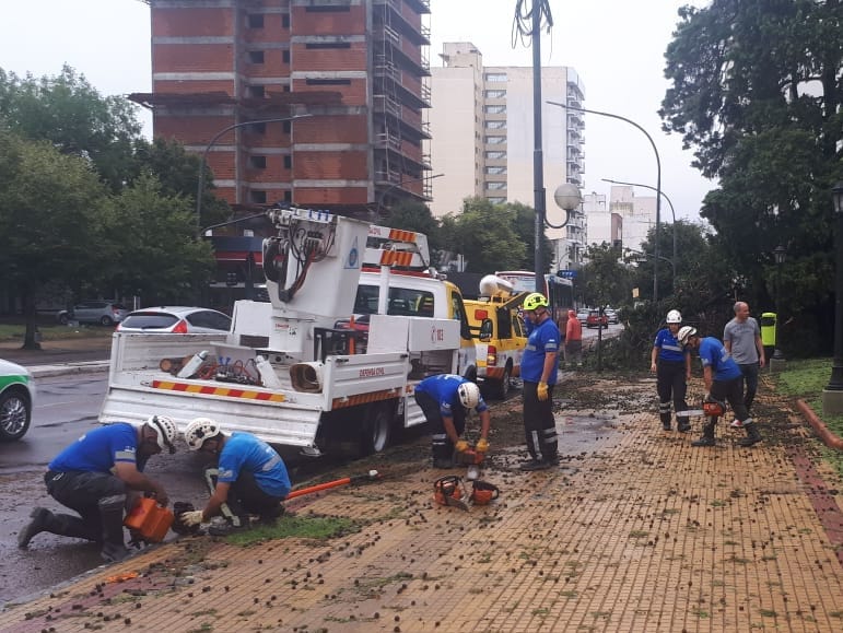 Defensa Civil de Vicente López asistió a los damnificados del temporal de La Plata