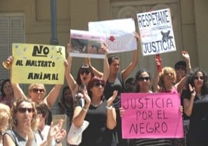 Protesta contra el maltrato animal en Junín