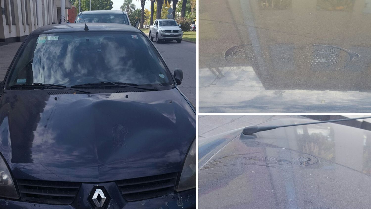 Un auto arruinado por la práctica de parkour en Luján